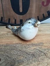 Vintage taxidermy puffer for sale  LICHFIELD