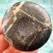 discoidal for sale discoidal for sale Manchester