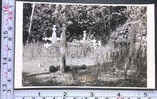 Unusual cemetery grace for sale  Weatherly