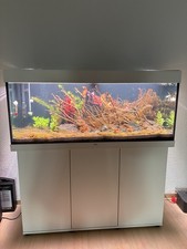 Juwel rio 240 gebraucht kaufen  Kevelaer