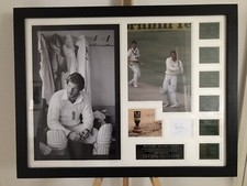 Sir ian botham for sale  BEDWORTH