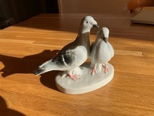 Tauben paar gräfenthal gebraucht kaufen  Berlin
