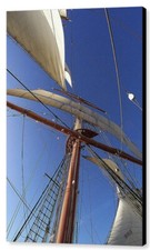 Star india mast for sale  High Point