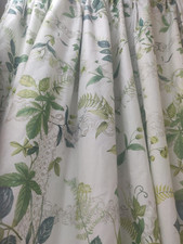 Fabulous pair botanical for sale  MARKET DRAYTON