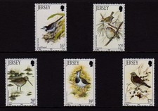 Jersey 1992 birds for sale  LEIGH-ON-SEA