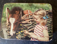 toffee pony for sale  CASTLEFORD