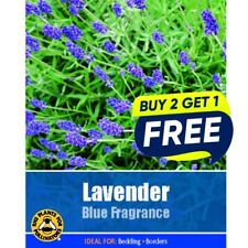 Flower seeds grow for sale  MANSFIELD