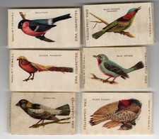 Bird series small for sale  North Bennington