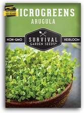 Pack arugula microgreens for sale  Miami