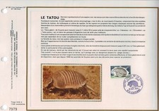 Cef soie tatou d'occasion  Ruynes-en-Margeride