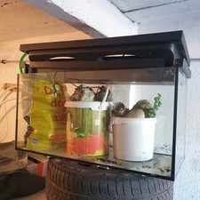 Aquarium 80x35x40cm glasbecken gebraucht kaufen  Heidenau, Dohna, Müglitztal