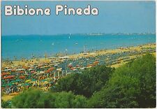 Bibione pineda 1987 usato  Italia