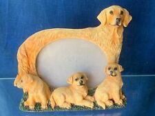 Vintage golden retriever for sale  Lynchburg