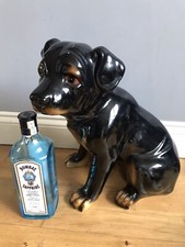 Large rottweiler puppy for sale  READING