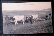 Cpa scènes champêtres d'occasion  Lyon II