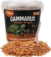 Selezione gammarus per usato  Anzio
