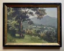 Fausto magni livorno usato  Firenze