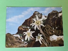 Carte postale savoie d'occasion  Grande-Synthe