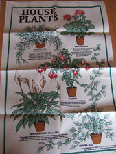 Vintage house plants for sale  NORWICH