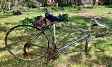 Vintage 1950s raleigh for sale  Wilmington