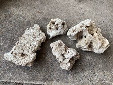coral reef for sale  YEOVIL