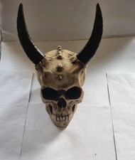 Markus mayer totenkopf gebraucht kaufen  Dresden