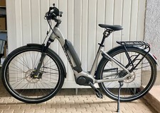 Bike flyer upstreet gebraucht kaufen  Rust