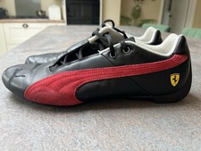 puma cat for sale puma cat for sale WELWYN GARDEN CITY