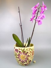 Zsolnay pecs jardiniere for sale  RUISLIP