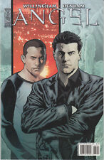 Angel comic 2010 gebraucht kaufen  Hamburg