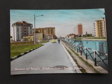 teca rettili milano usato  Oggiono