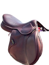 Amerigo salto jump for sale  LINCOLN