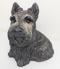 Scotty scottish terrier for sale  New Freedom