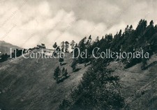 1953 borno monte usato  Cremona