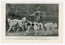 Borzoi original 1937 for sale  COLEFORD
