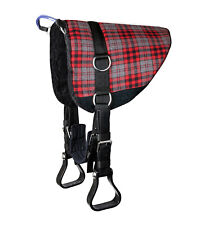 Bareback usato  Italia