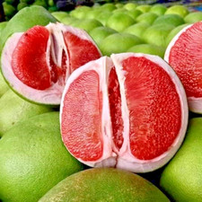 Pomelo pummelo grafted d'occasion  Expédié en Belgium