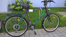 Holland city fahrrad gebraucht kaufen  Augsburg