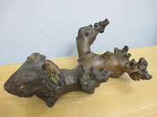 Wood root burl for sale  Fishers