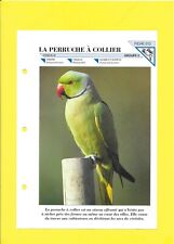 Fiche 213 perruche d'occasion  Nancy-