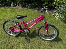 Ammaco sienna pink for sale  MANSFIELD