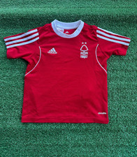 Nottingham forest 2013 for sale  BIGGLESWADE