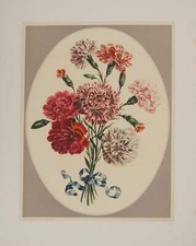 John edwards fleurs d'occasion  Paris XII