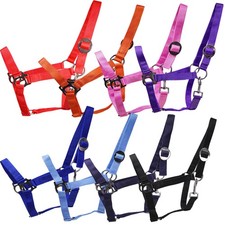 Sport halfter nylon gebraucht kaufen  Aldingen
