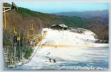 Gatlinburg tennessee ski for sale  Newton