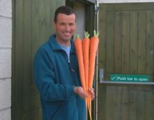 Carota gigante 150 usato  Reggio Calabria