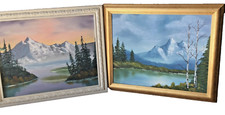 Bob ross styled for sale  Katy