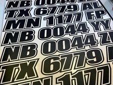 Custom pinstriped vinyl for sale  Clarksville