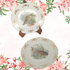 Assiette plate ancienne d'occasion  Billère