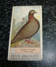 Frys fowls pigeons d'occasion  Expédié en Belgium
